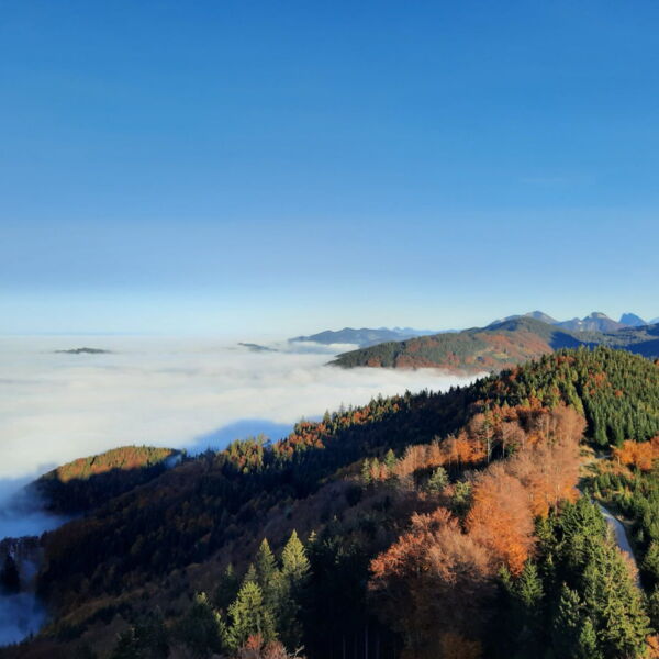 Nebeldecke im Herbst | Seehotel im Weyer in Gmunden Nebeldecke im Herbst | Seehotel im Weyer in Gmunden